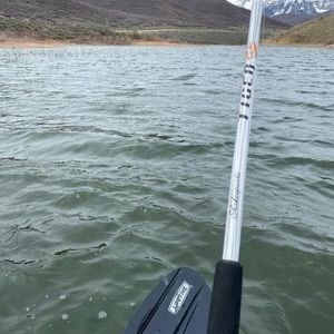 Meet your Posher, Jose